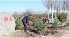 我公司開展植樹活動為園區填新綠